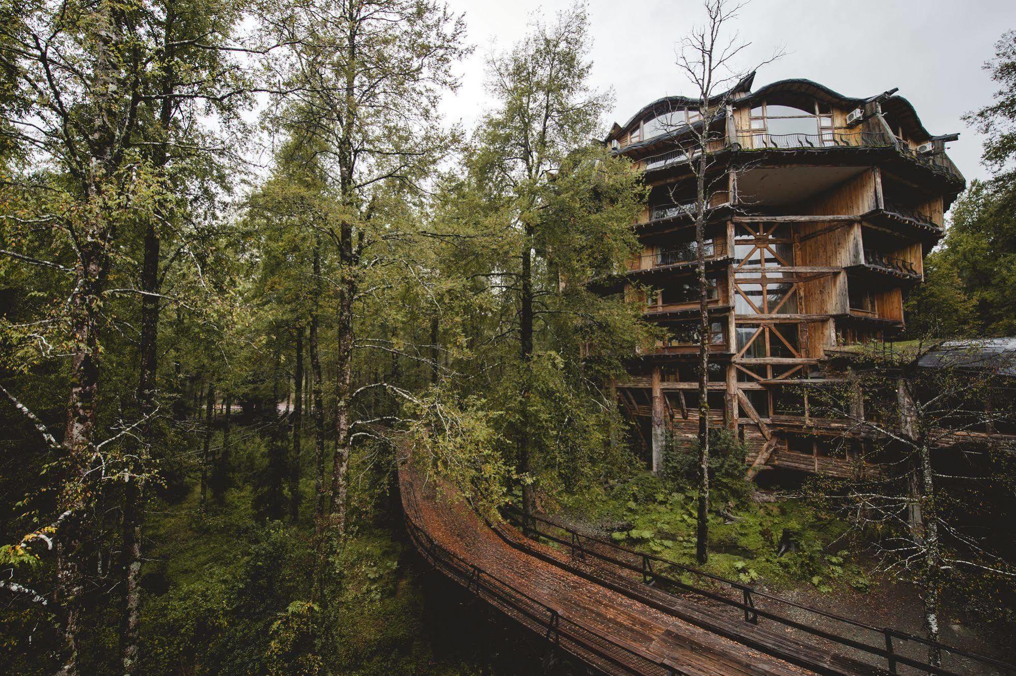 Huilo Huilo Nothofagus Hotel & Spa Puerto Fuy Luaran gambar