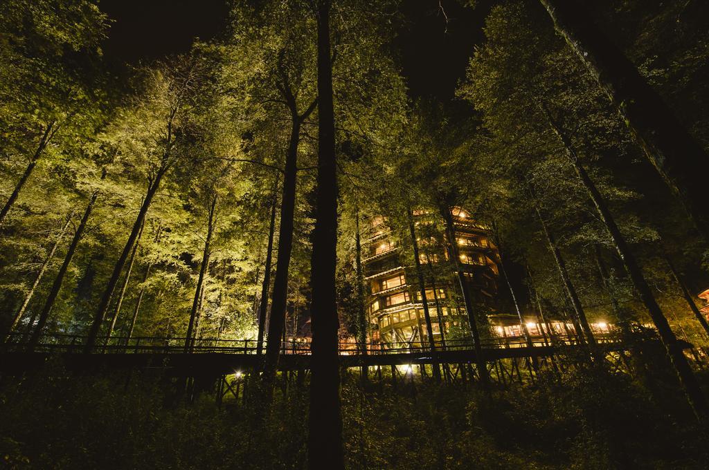 Huilo Huilo Nothofagus Hotel & Spa Puerto Fuy Luaran gambar
